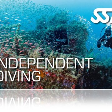 Zertifitierungskarte SSI Independent Diving
