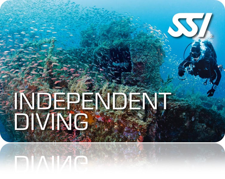 Zertifitierungskarte SSI Independent Diving