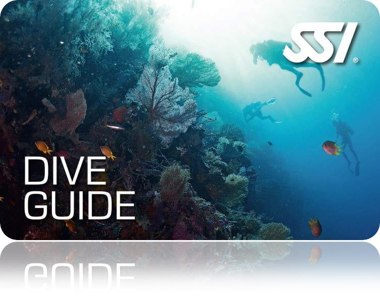 Zertifitierungskarte SSI Dive Guide
