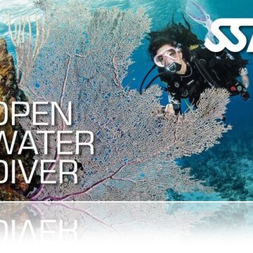 Zertifitierungskarte SSI Open Water Diver