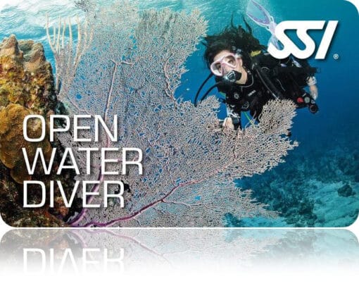 Zertifitierungskarte SSI Open Water Diver