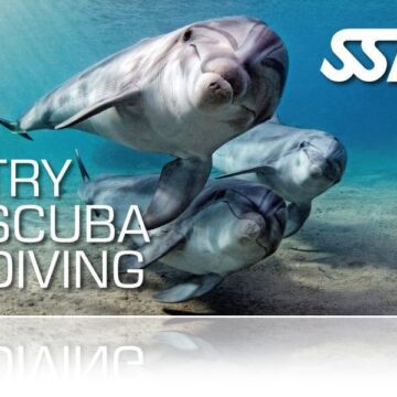 Zertifitierungskarte SSI Try Scuba Diving