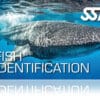 Zertifitierungskarte SSI Fish Identification