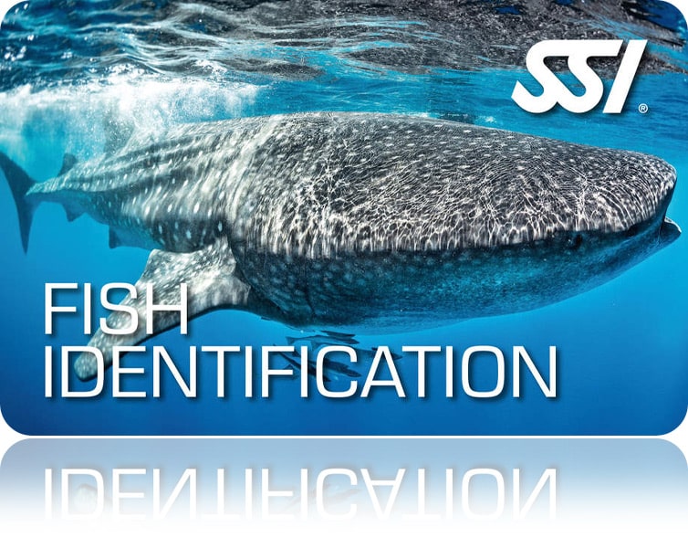 Zertifitierungskarte SSI Fish Identification