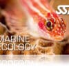 Zertifitierungskarte SSI Marine Ecology
