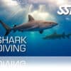 Zertifitierungskarte SSI Shark Diving
