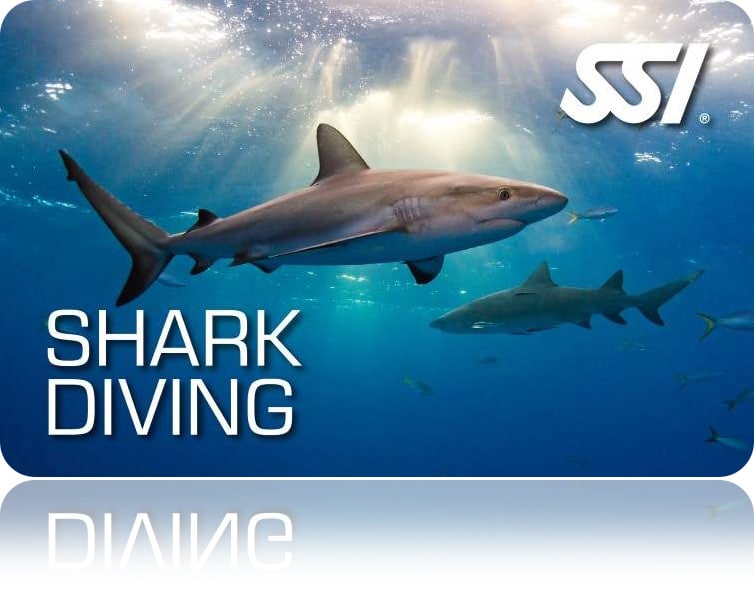 Zertifitierungskarte SSI Shark Diving