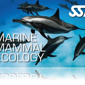 Marine Mammal Ecology
