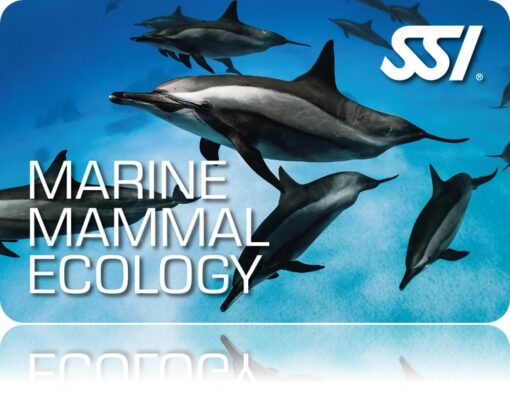 Marine Mammal Ecology