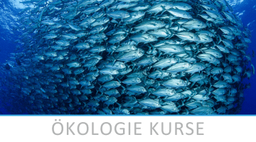 Ökologie Kurse
